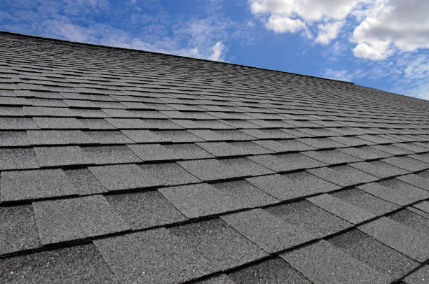 Best Roof Moss and Algae Removal  in Boca Raton, FL